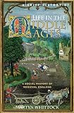 A Brief History of Life in the Middle Ages (Brief Histories)